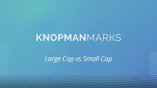 What is the Difference Between Large Cap Vs Small Cap [upl. by Halsey]