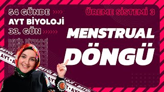 33 Menstrual Döngü  Üreme Sistemi  11 Sınıf Biyoloji  2024 AYT Biyoloji 33 Gün [upl. by Yrro615]