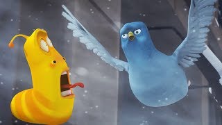 LARVA  WINTER TIME  Cartoon Movie  Cartoons  Comics  Larva Cartoon  LARVA Official [upl. by Naloj]