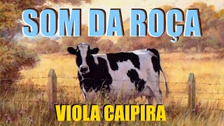 O Som Da Roça  De 01 HORA DE MODÃO DE VIOLA  Viola CaipiraSertanejo Raiz [upl. by Iilek]