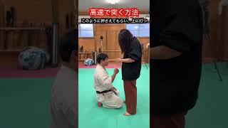 【武道・武術】高速で突きを打つための考え方と練習方法！！ aikido ＃karate martial 武道 ＃空手＃合気道＃筋トレselfdefens [upl. by Rodina]