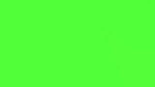 maglo  never lyrics greenscreen [upl. by Adnaluoy]