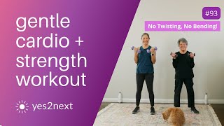 Gentle Cardio amp Strength Workout  No Twisting or Bending [upl. by Bough]