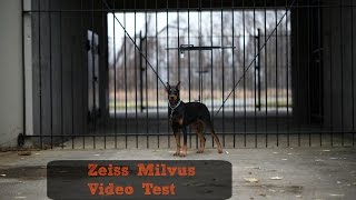 Zeiss Milvus Video Test Footage [upl. by Eniretac273]