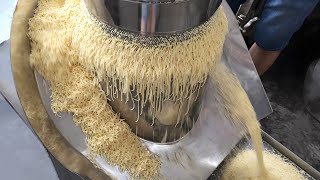 Rotary Basket Granulator [upl. by Cleti434]