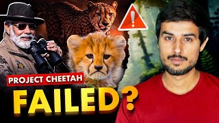 Why Modi Govt’s Project Cheetah has FAILED  Dhruv Rathee [upl. by Eicram44]