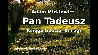 3 Adam Mickiewicz „Pan Tadeusz” księga trzecia „Umizgi” audiobook  lektura [upl. by Yhpos]