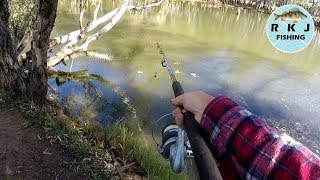 Bait fishing at Aysons Reserve [upl. by Benji470]