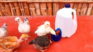 MIRA‼ Como hacer este Bebedero Automático para criar pollitos🐣🐥con botella de plástico descartable♻ [upl. by Slavin]