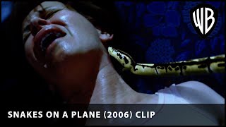 A truly rattling flight  Snakes on a Plane 2006  Warner Bros UK [upl. by Rubens]