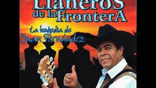 Mix de Cumbias  Los Llaneros de la Frontera  Master Media Ltda [upl. by Ettenil]