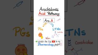 Arachidonic Acid Pharmacology Prostaglandins and Leukotrienes…biology nclex mbbs pharmacology [upl. by Rramel]