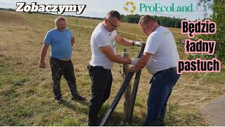 Pastuch z leśną siatką czy ogrodzenie będzie działać z Eko słupkami ProEcoLand Rolnicy z Podlasia [upl. by Sirrah369]