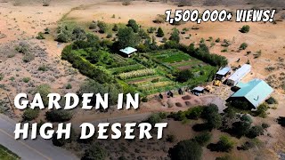 Permaculture Garden In The High Desert [upl. by Armyn951]