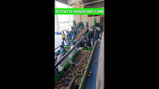 Potato handling line  Potato Processing Line  shorts potatohandlingline [upl. by Lilly]