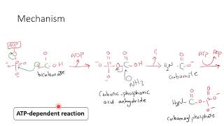 Biochem 2727th Lecture [upl. by Sion]