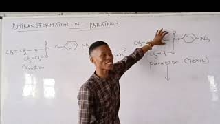 Biotransformation of Parathion [upl. by Attiuqahs190]