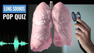 Name that Lung Sound Lung Sound Quiz  NCLEX REVIEW [upl. by Leo758]