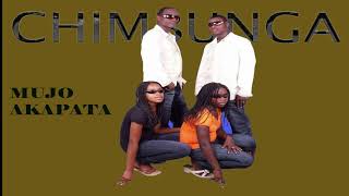 Chimbunga  Mujo Akapata Official audio [upl. by Aratihc]