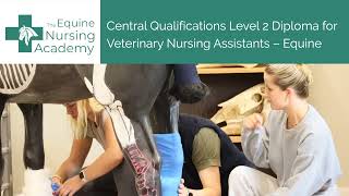 The Equine Nursing Academy [upl. by Joab]