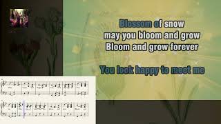 Edelweiss Sound of Music Karaoke with lyrics and music notes [upl. by Ahsytal]