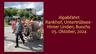 Alpabfahrt Rankhof Untertrübsee Hinter Linden Buochs 05 Okt 2024 [upl. by Haleak21]