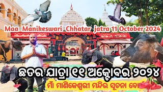 Chhatar jatra 2024 date ।ବିଶ୍ଵ ପ୍ରସଦ୍ଧ ଛତର ଯାତ୍ରା କେବେ ଭବାନୀପାଟଣା ଛତର ଯାତ୍ରା [upl. by Mazlack70]