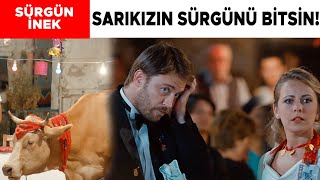 Sürgün İnek Türk Filmi  Düşman köyler kardeş oluyor [upl. by Kafka]