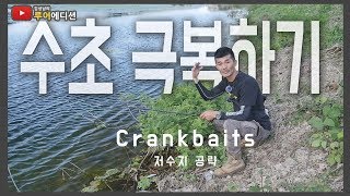 Bass Fishing 루어에디션77크랭크베이트로 수초 속 배스를 공략하자 루어 액션은 LUNKER MEGABASS staff [upl. by Adriana486]