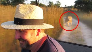 30 Times African Safari Trips Went Horribly Wrong [upl. by Dolly]