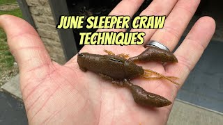 June Bass Love The Sleeper Craw Over Any Other Lure [upl. by Ferriter]