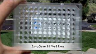 ExtraGene 96 Well ELISA Plate Test  Quasar Instruments [upl. by Auberon816]