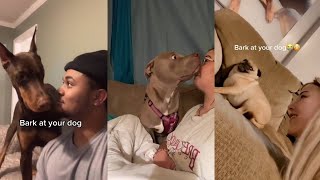 bark at your dog  tiktok compilation [upl. by Leiahtan]