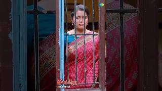 Ilakkiya Serial Shorts  Ep 651  4  Shambhavy Nandhan Sushma Nair  ytshorts shorts [upl. by Frentz]