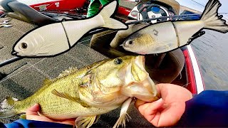 Throwing Glide Baits for Shallow Winter Bass [upl. by Pier157]