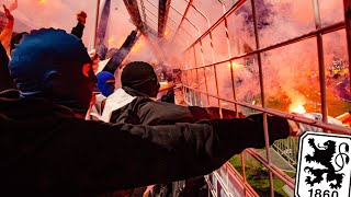 1860 München  Ultras Fans amp Hooligans [upl. by Atiras]