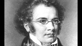 Schubert quotNähe des Geliebtenquot D 162 Goethe Elisabeth Schumann [upl. by Aitekram466]