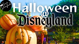 10 Quick tips 2024 Halloween season Disneyland Resort [upl. by Harrat]