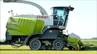 Claas Jaguar 960 Terra Trac  Bunker forage harvester  Lucerne Harvest  Hartog Abbekerk [upl. by Esiuol]