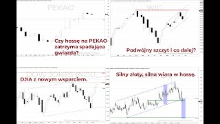 Perspektywy rynku  GPW i świat analiza techniczna rynków finansowych Piotr Neidek [upl. by Rawdan35]