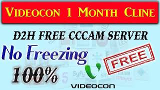 Best CCcam and Oscam Server in Europe for 2022  CCcam Control Panel [upl. by Teryl17]