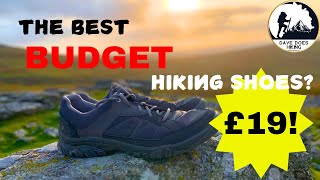 Quechua NH100 Hiking Shoes Review  The BEST Budget Hiking Shoe [upl. by Karolina]