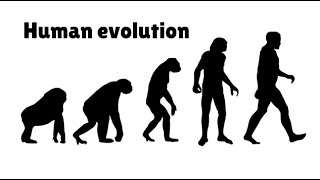 Timeline of Human Evolution [upl. by Assirrak]