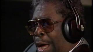 BB King  Behind the Scenes 1993 [upl. by Airaet804]