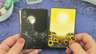 présentation du Anna K Lenormand 💖 [upl. by Souvaine]