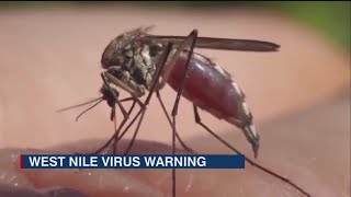 West Nile Virus warning issued in Sarasota County [upl. by Attiuqihc]