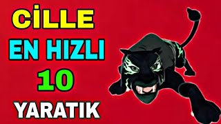 CİLLE EN HIZLI 10 YARATIK  TOP10 CİLLE [upl. by Westfall531]