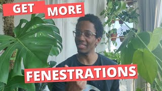 3 simple steps to get more Monstera fenestrations [upl. by Darell]