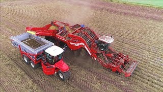 Potato Harvesting  Grimme Ventor 4150 amp Vervaet Hydro Trike xl  Ploegmakers Rips [upl. by Karalee]