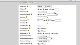 Gehaltsrechner  Anleitung für BruttoNettorechner von lohnexpertede [upl. by Gentes]